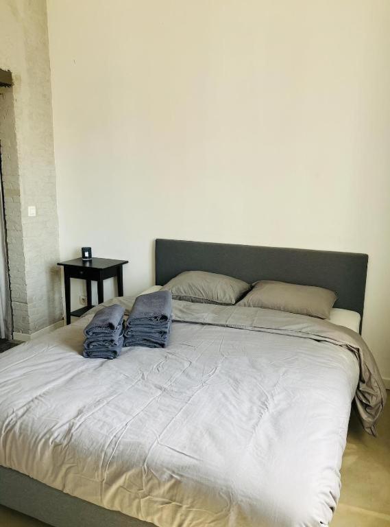 Suikernest Appartement Antwerpen