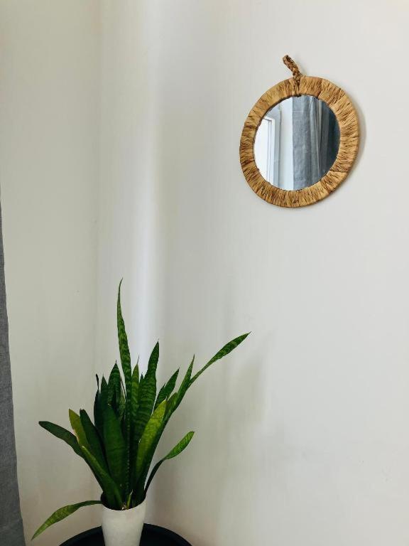 Appartement Suikernest