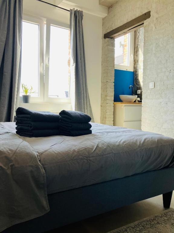 Suikernest Appartement Antwerpen